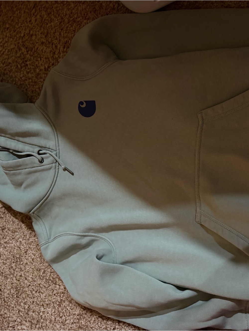 Carhartt Sage Green Pullover Hoodie with Small Chest Logo